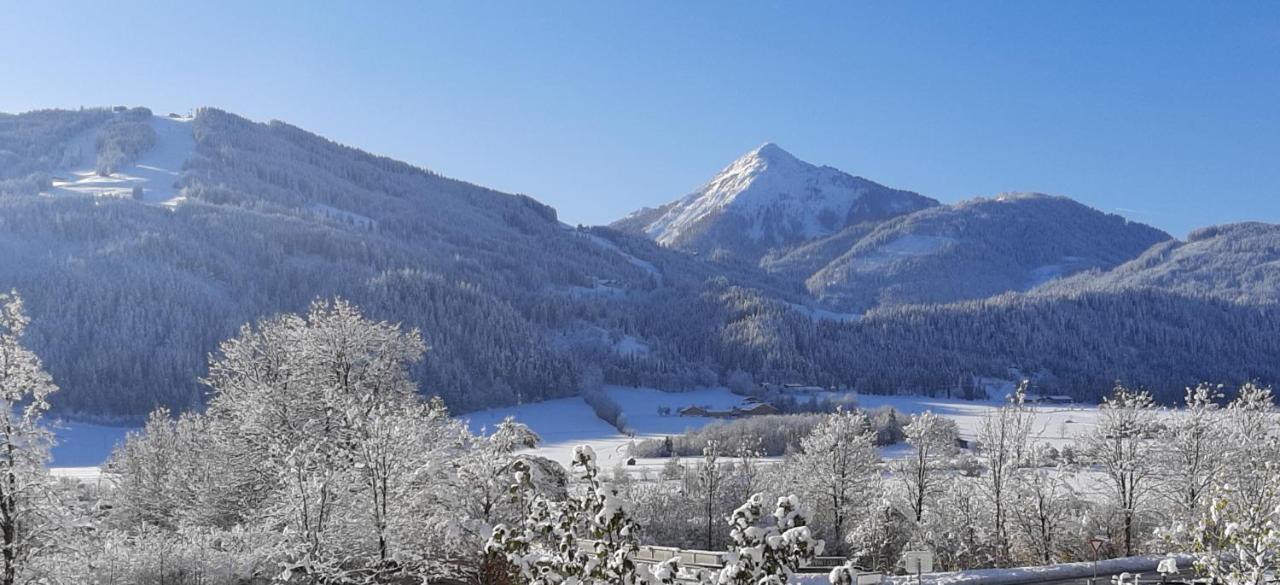Filzerlehen Villa Radstadt Luaran gambar