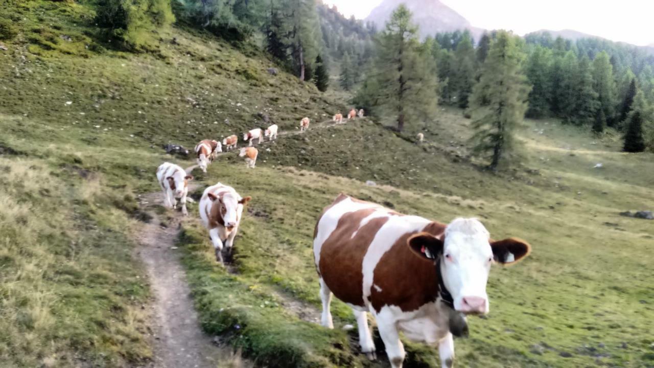 Filzerlehen Villa Radstadt Luaran gambar